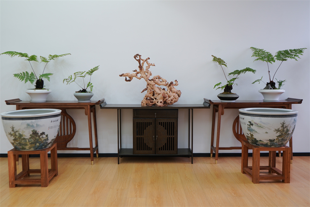 Office Area